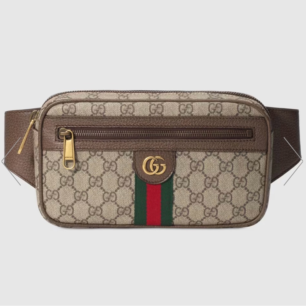 OPHIDIA GG BELT BAG (GUCCI) - Picture 10 of 10